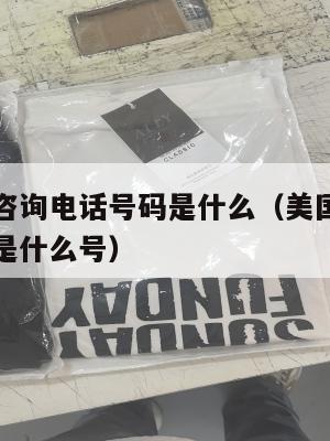 美国集运咨询电话号码是什么(美国集运咨询电话号码是什么号)