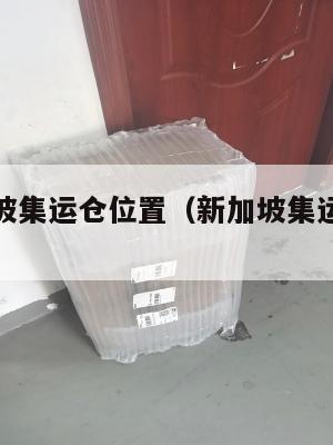 美国新加坡集运仓位置(新加坡集运仓什么意思)