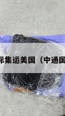 中通国际集运美国(中通国际运输)
