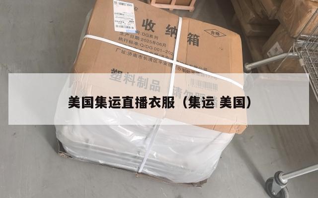 美国集运直播衣服(集运 美国)