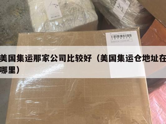 美国集运那家公司比较好(美国集运仓地址在哪里)
