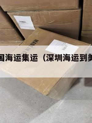 深圳寄美国海运集运(深圳海运到美国运费怎么算)