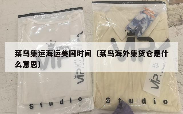 菜鸟集运海运美国时间(菜鸟海外集货仓是什么意思)