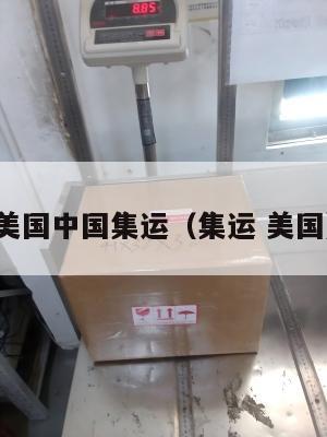 美国中国集运(集运 美国)