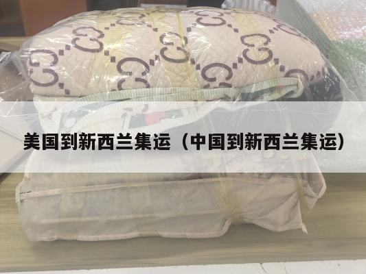 美国到新西兰集运(中国到新西兰集运)