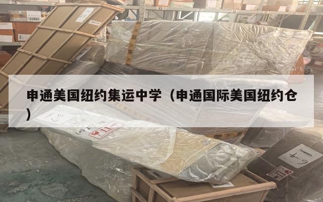 申通美国纽约集运中学（申通国际美国纽约仓）