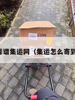 美国靠谱集运网（集运怎么寄到美国）