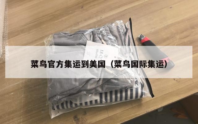 菜鸟官方集运到美国(菜鸟国际集运)