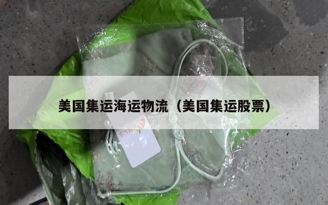 美国集运海运物流（美国集运股票）