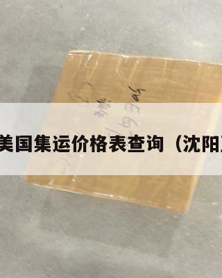 沈阳到美国集运价格表查询(沈阳至美国)