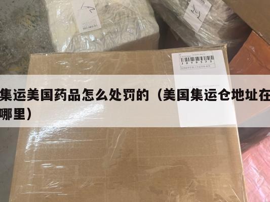 集运美国药品怎么处罚的(美国集运仓地址在哪里)