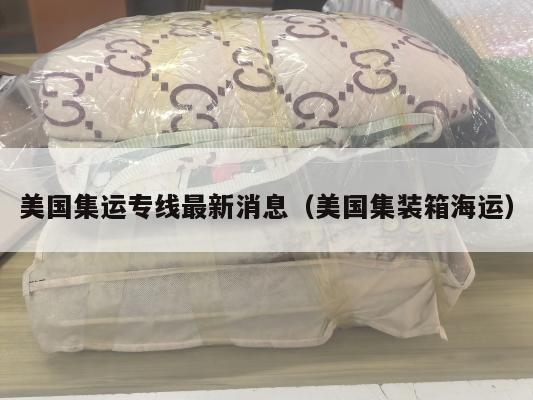 美国集运专线最新消息(美国集装箱海运)