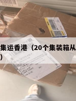 上海美国集运香港(20个集装箱从上海港运到纽约港)