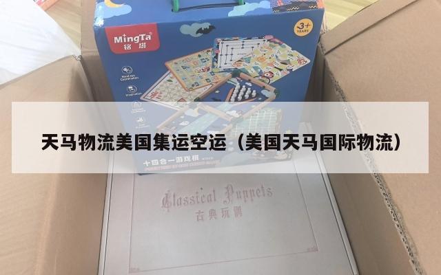 天马物流美国集运空运(美国天马国际物流)