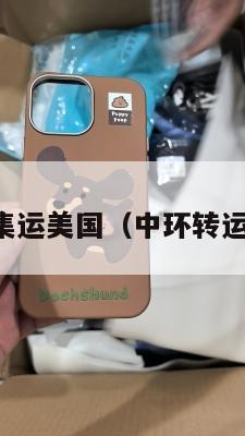中环集运美国（中环转运美国）