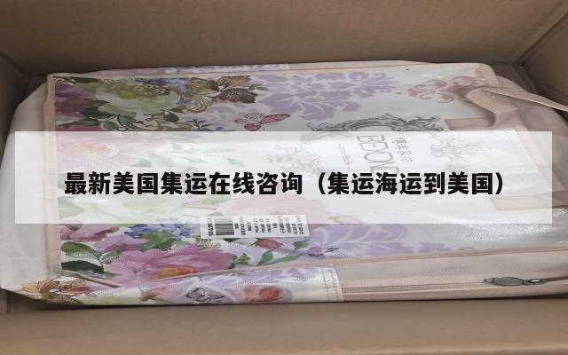 最新美国集运在线咨询（集运海运到美国）