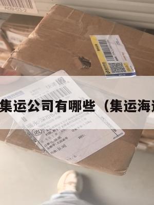 发美国的集运公司有哪些（集运海运到美国）