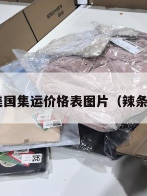 辣条美国集运价格表图片（辣条 美国）