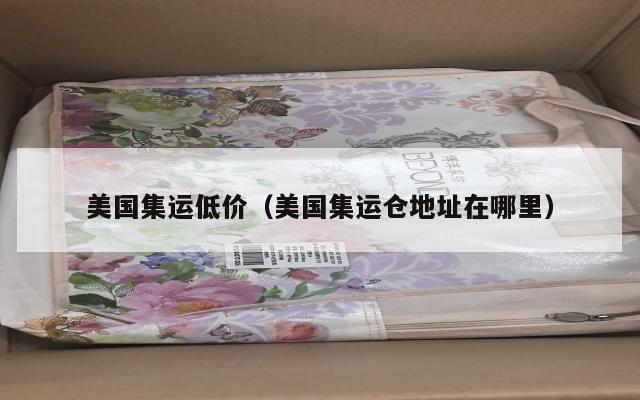 美国集运低价（美国集运仓地址在哪里）