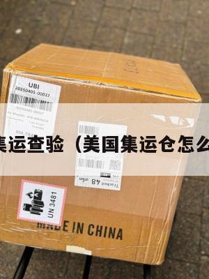 美国集运查验（美国集运仓怎么收费）