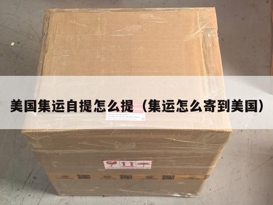 美国集运自提怎么提（集运怎么寄到美国）