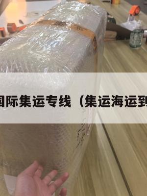 美国国际集运专线（集运海运到美国）