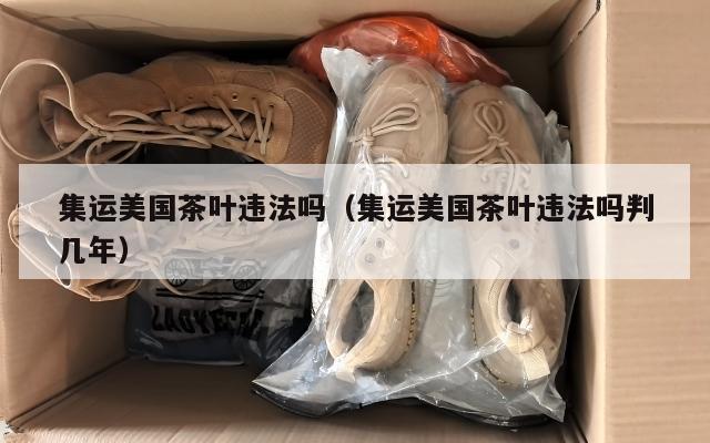 集运美国茶叶违法吗（集运美国茶叶违法吗判几年）