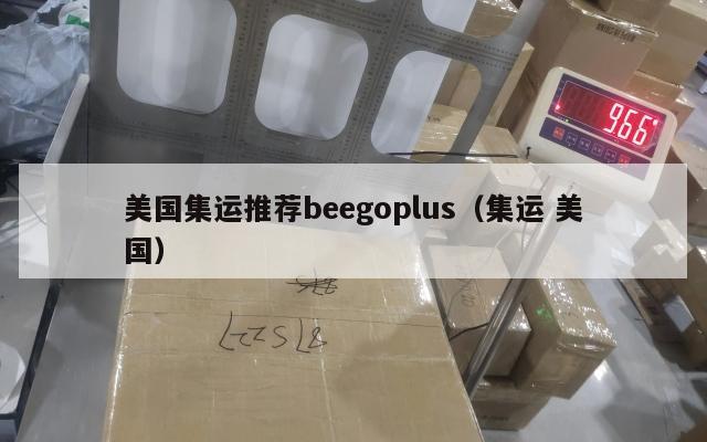 美国集运推荐beegoplus（集运 美国）