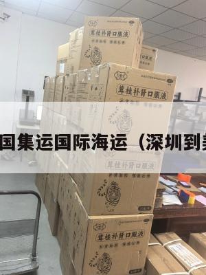 深圳到美国集运国际海运（深圳到美国物流）