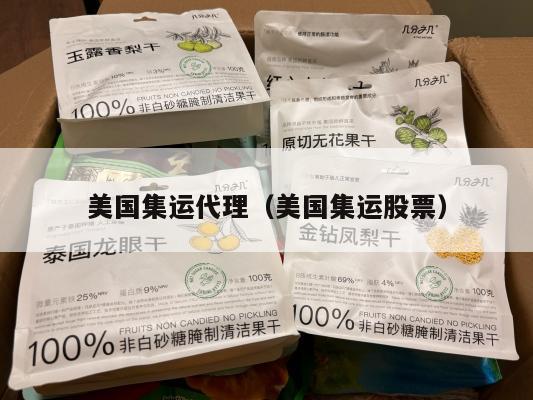 美国集运代理（美国集运股票）