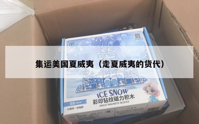 集运美国夏威夷（走夏威夷的货代）