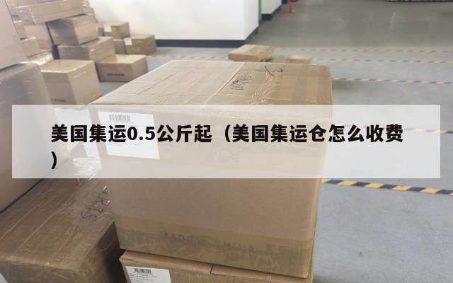 美国集运0.5公斤起（美国集运仓怎么收费）
