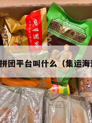 美国集运拼团平台叫什么（集运海运到美国）