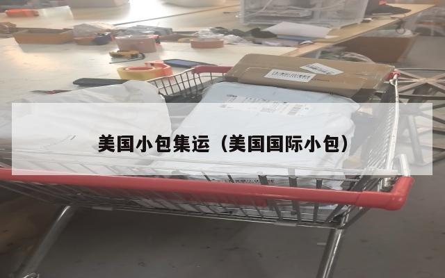 美国小包集运（美国国际小包）