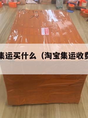 美国淘宝集运买什么（淘宝集运收费明细美国）