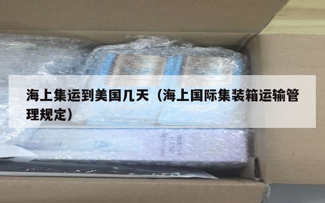海上集运到美国几天（海上国际集装箱运输管理规定）