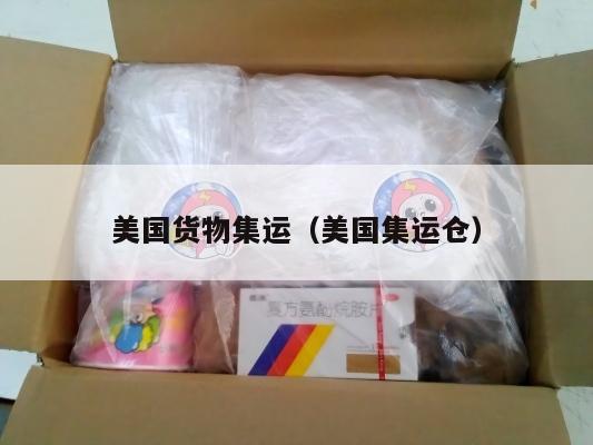 美国货物集运(美国集运仓)