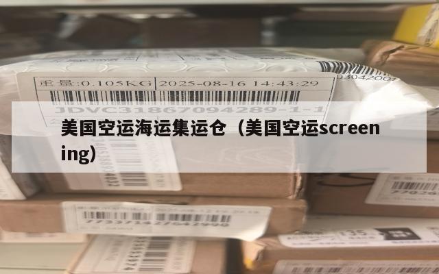 美国空运海运集运仓（美国空运screening）