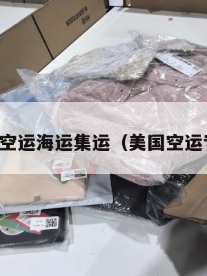 美国空运海运集运（美国空运专线）
