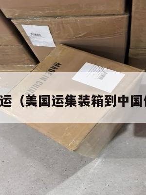 发美国集运（美国运集装箱到中国价格多少）