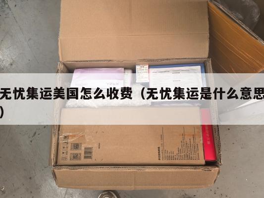 无忧集运美国怎么收费（无忧集运是什么意思）