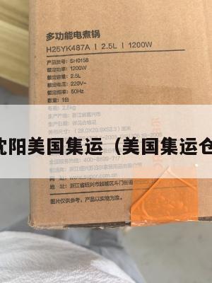 沈阳美国集运(美国集运仓)