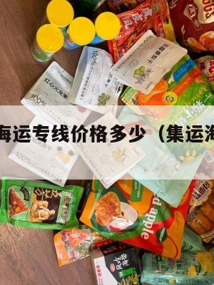 集运美国海运专线价格多少（集运海运是什么意思）