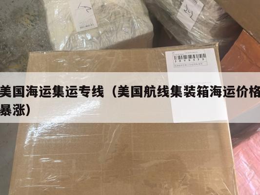 美国海运集运专线(美国航线集装箱海运价格暴涨)