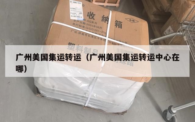 广州美国集运转运（广州美国集运转运中心在哪）