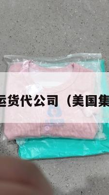 美国集运运货代公司(美国集装箱运价)