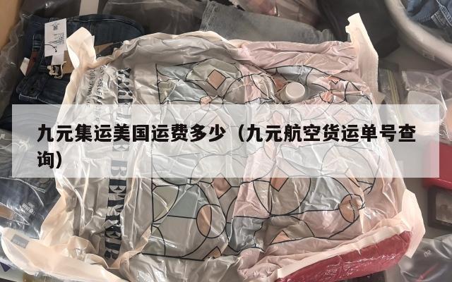 九元集运美国运费多少(九元航空货运单号查询)