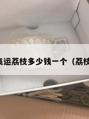 美国集运荔枝多少钱一个(荔枝空运)