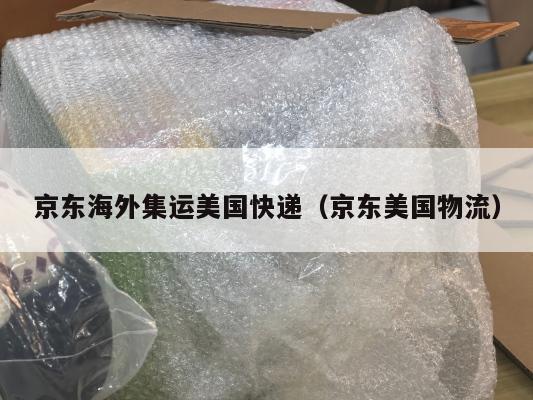 京东海外集运美国快递（京东美国物流）