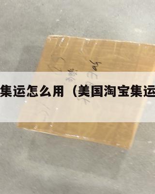 美国淘宝集运怎么用（美国淘宝集运怎么用微信支付）